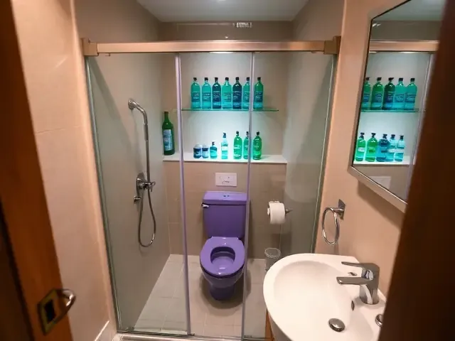 Двухместный